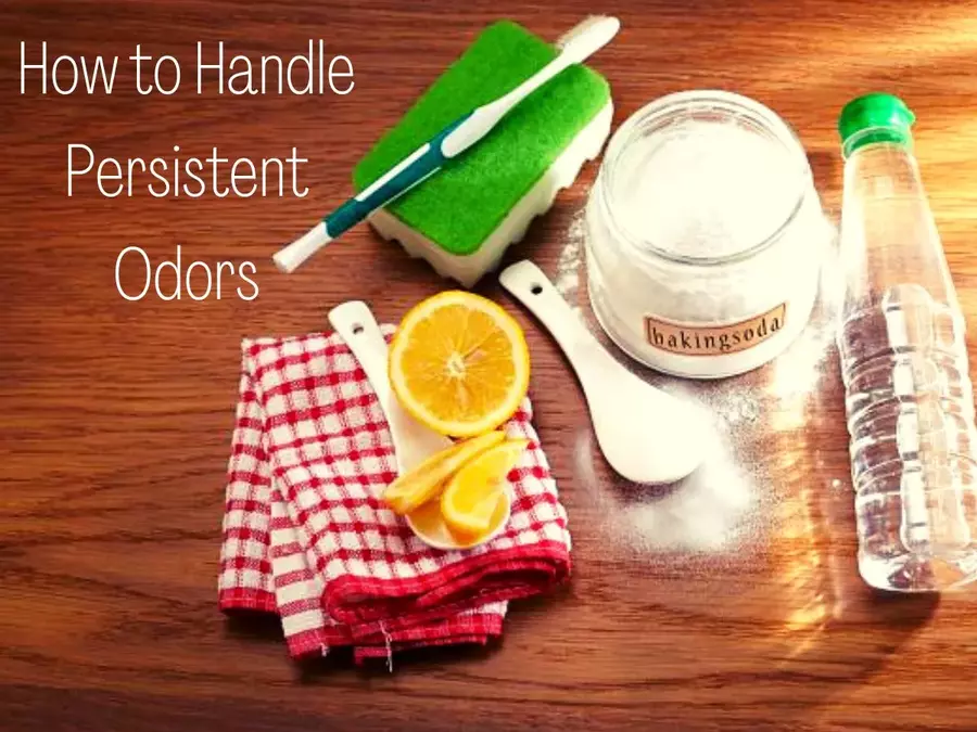 How to Handle Persistent Odors of Air Fryer