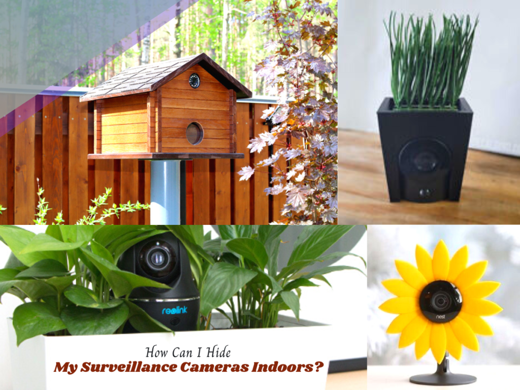 How Can I Hide My Surveillance Cameras Indoors? 